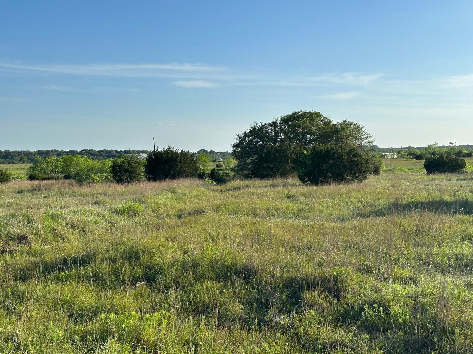 TBD Lot 2 - County Rd 210