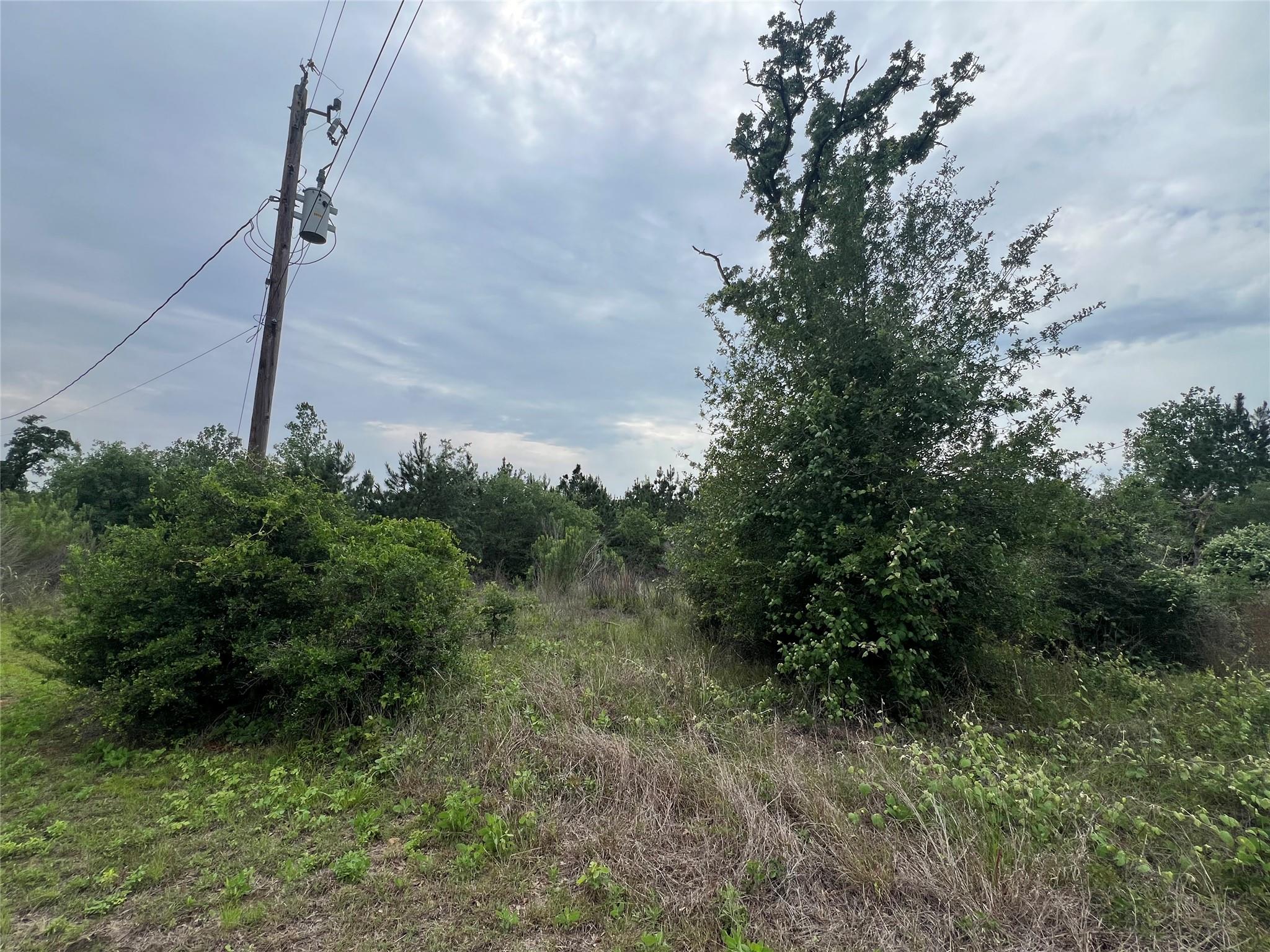TBD Blue Jay RD