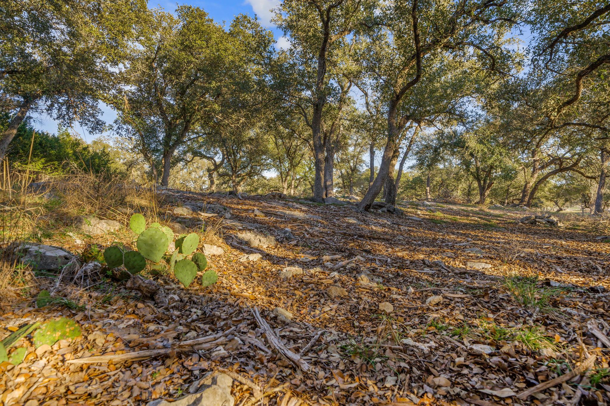 539 Clay Ridge RDG