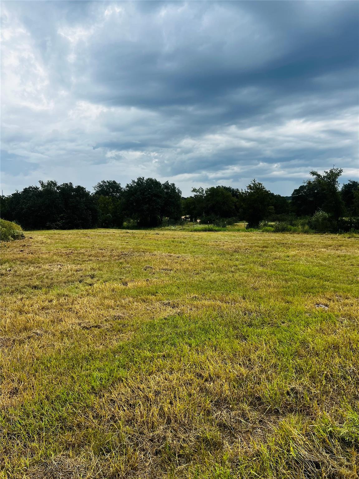 241 Lehne LOOP