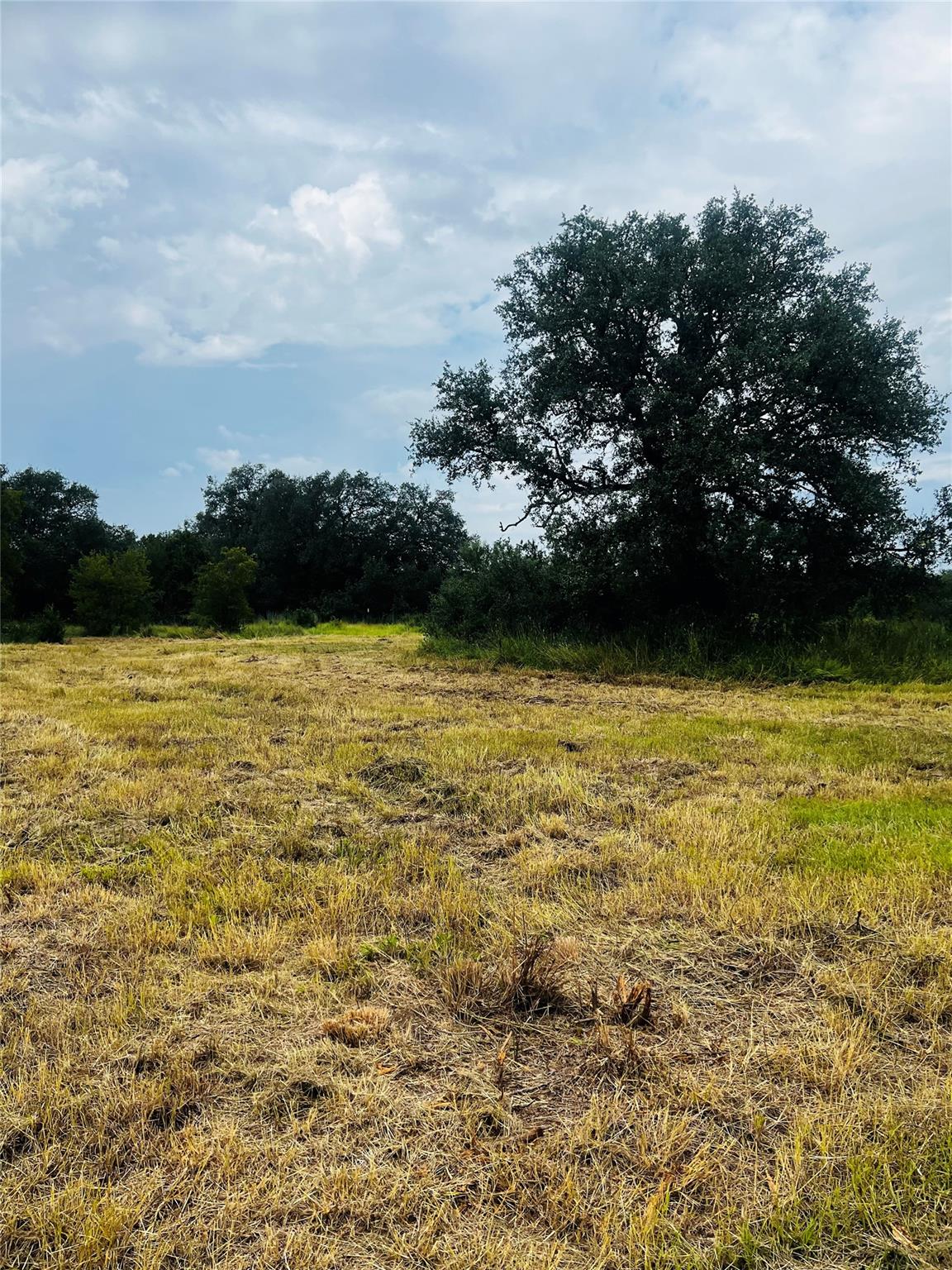 241 Lehne LOOP