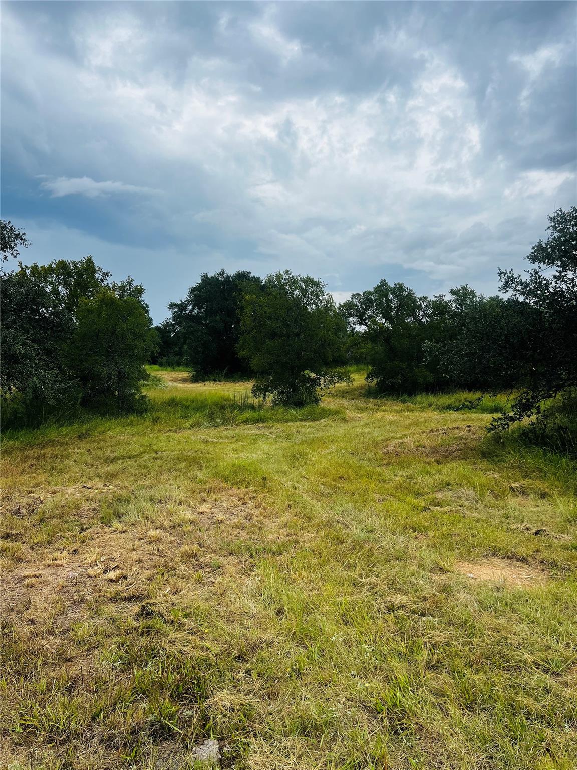 241 Lehne LOOP