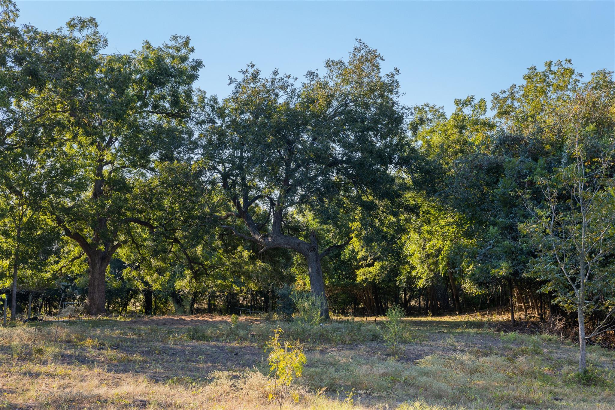 217 Robin Ranch RD