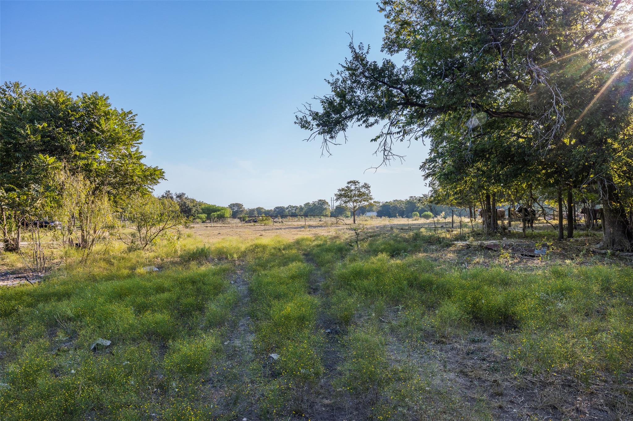 217 Robin Ranch RD