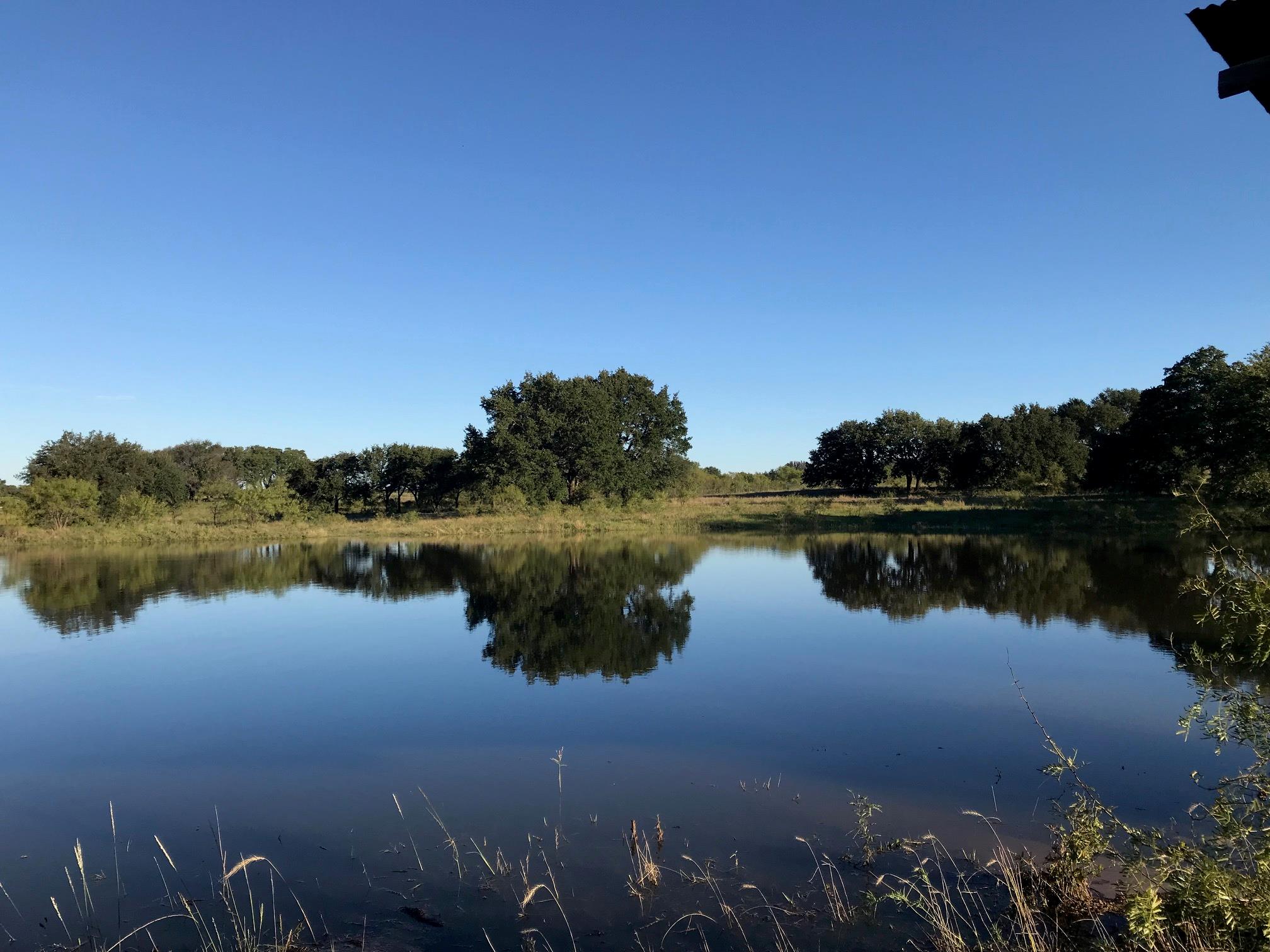 250 County Road 118