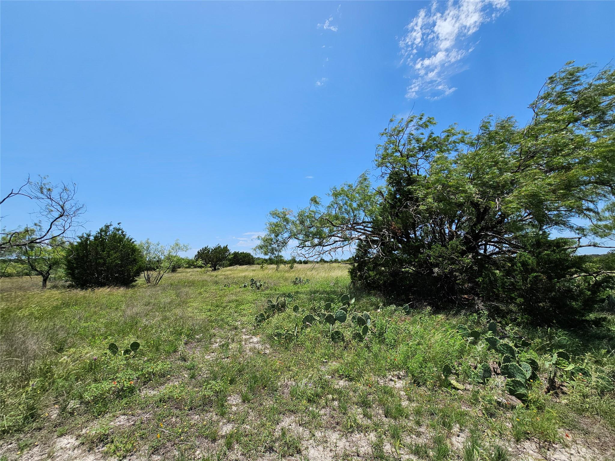 Lot 111 Shin Oak DR