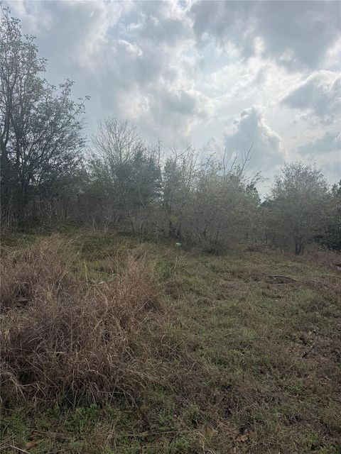 Photo of TBD Mauna Kea LN, Bastrop, TX 78602 (MLS # 4402978)