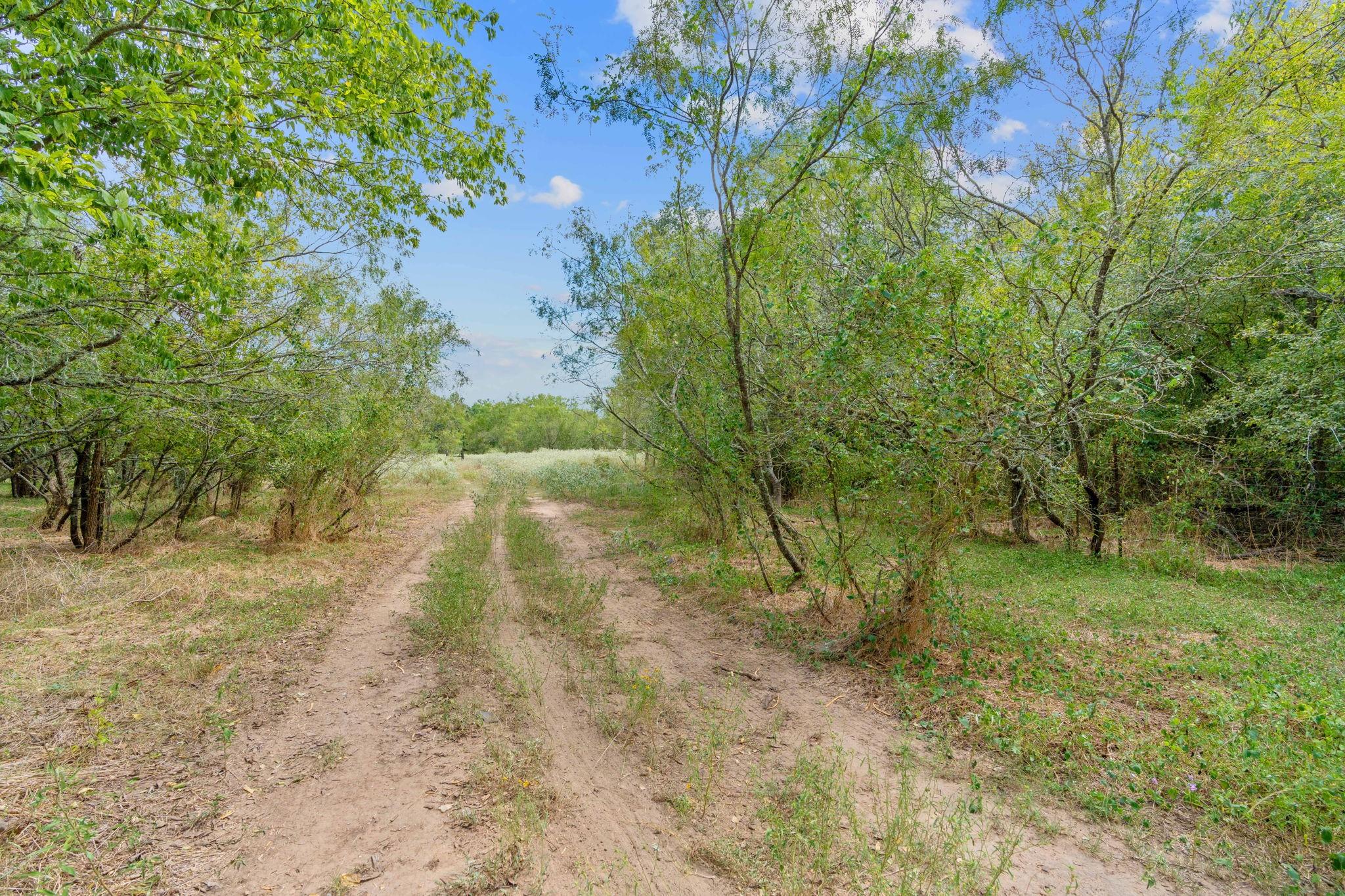TBD Chamberlin RD