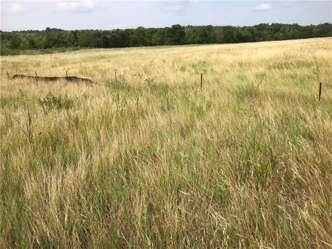 Photo of TBD Camino Real, Kyle, TX 78640 (MLS # 6170371)