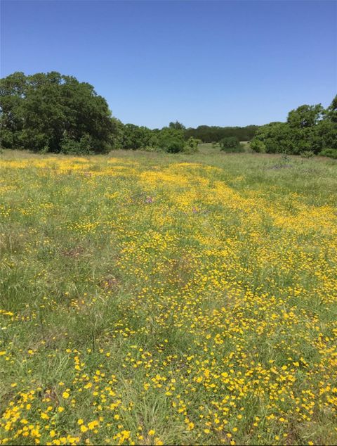 Photo of 184 Moondance TRL, Wimberley, TX 78676 (MLS # 8294315)
