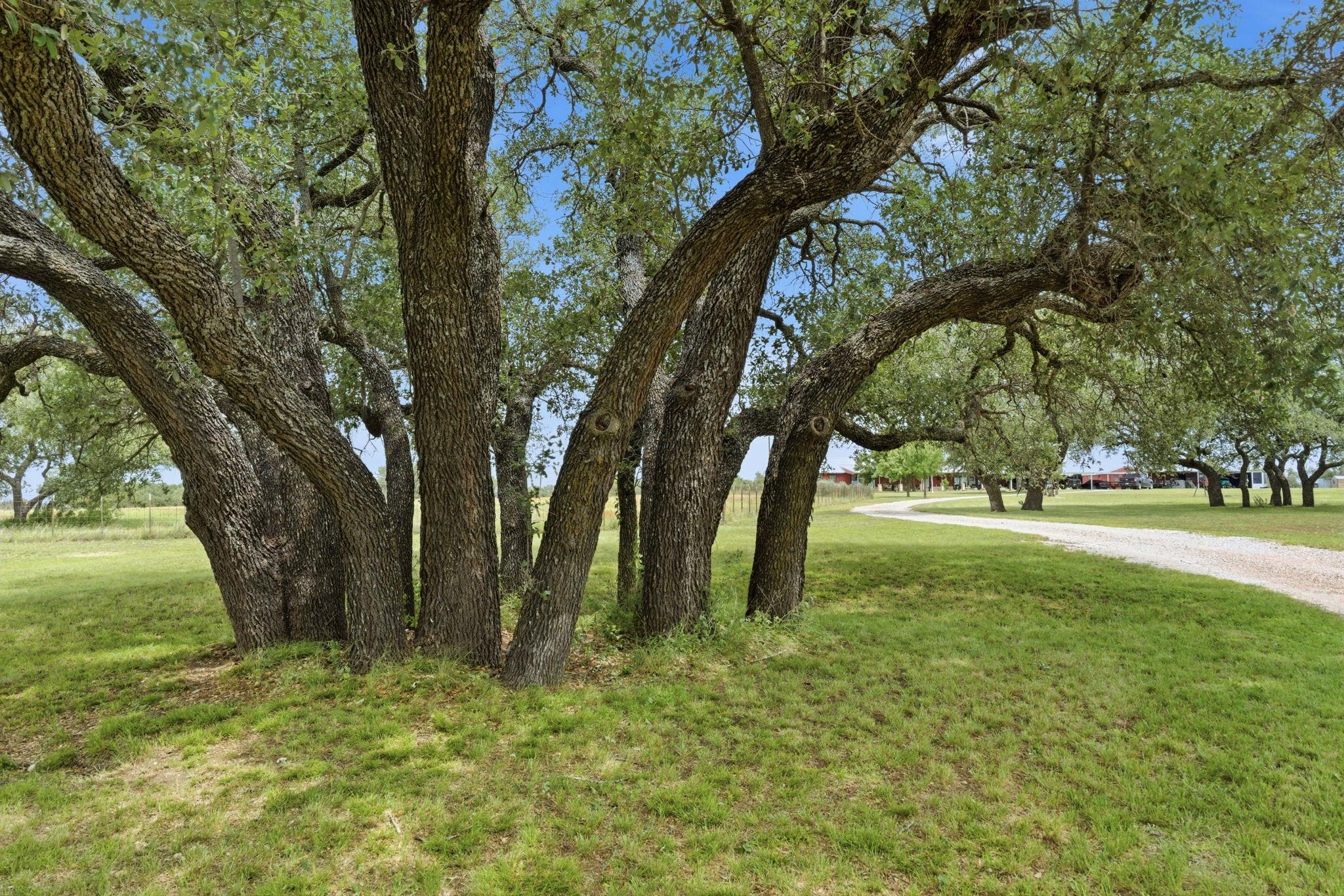 1360 Us Highway 84 Highway W