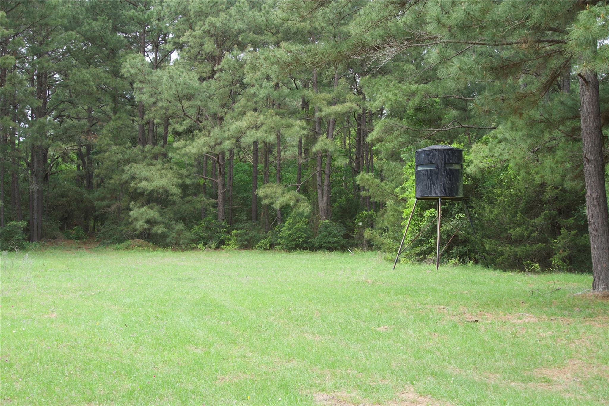 TBD (Tracts 11 & 12) St Delight RD