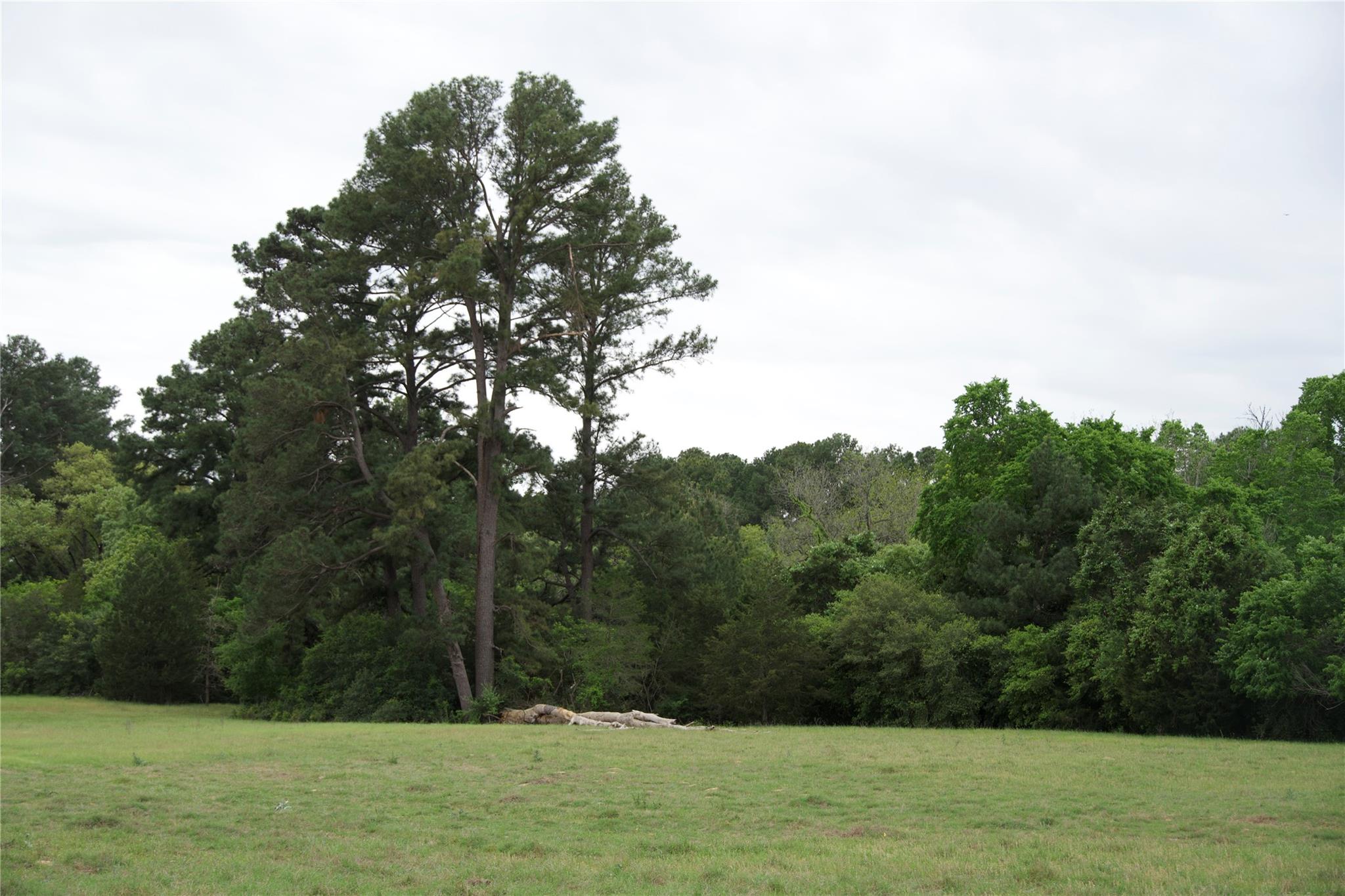 TBD (Tracts 11 & 12) St Delight RD