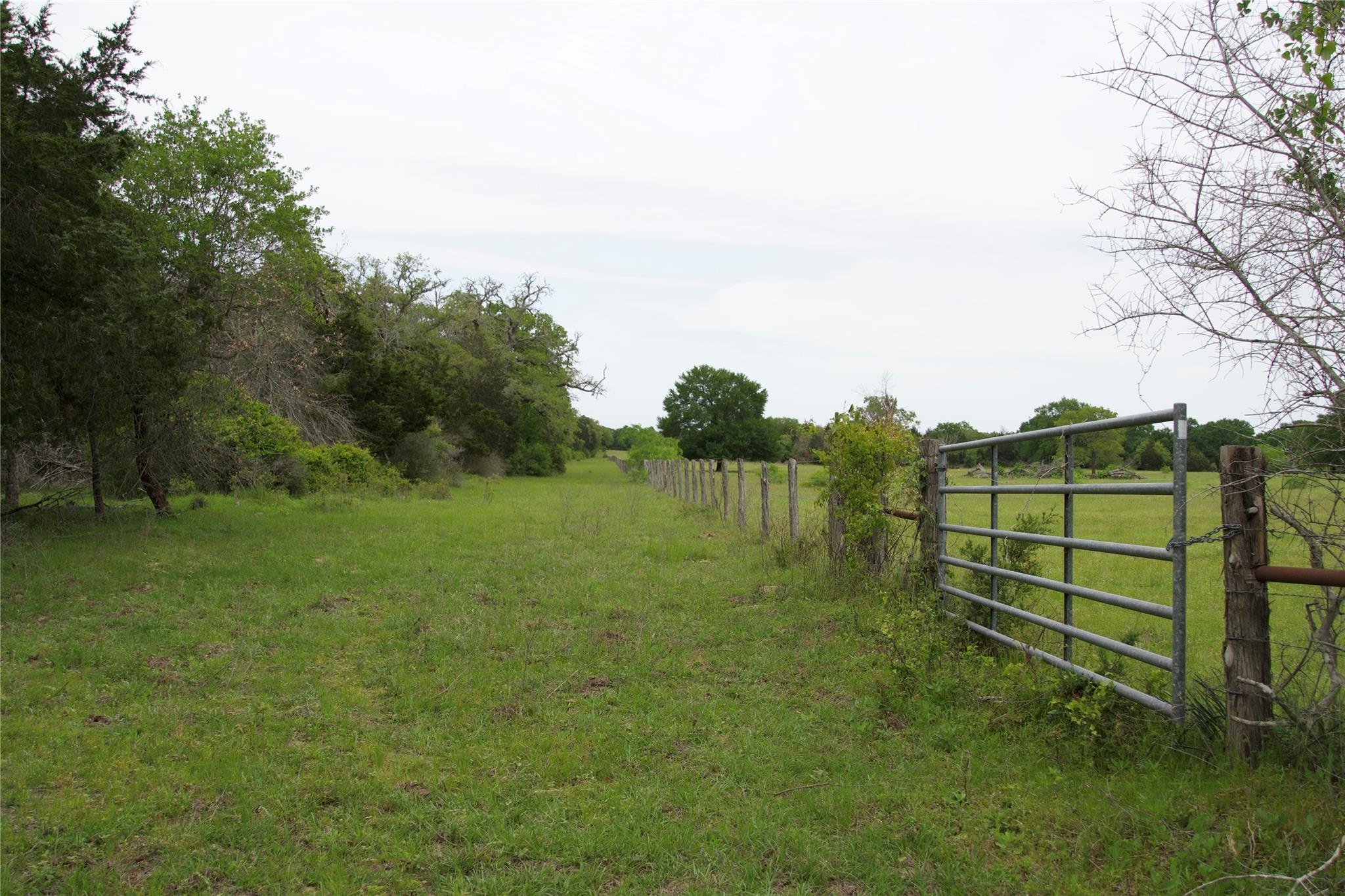 TBD (Tracts 11 & 12) St Delight RD
