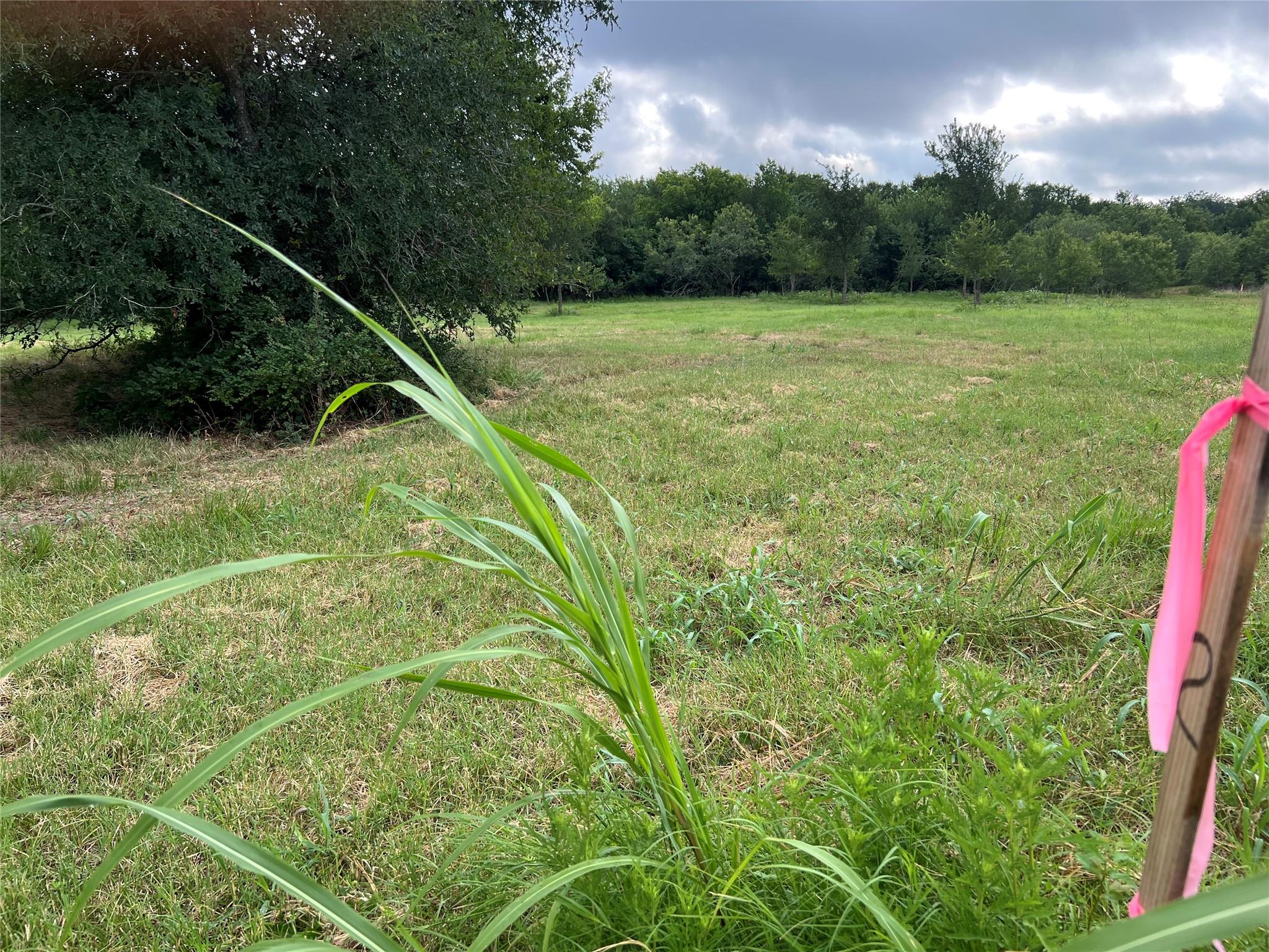 TBD FM 3000 Tract 2