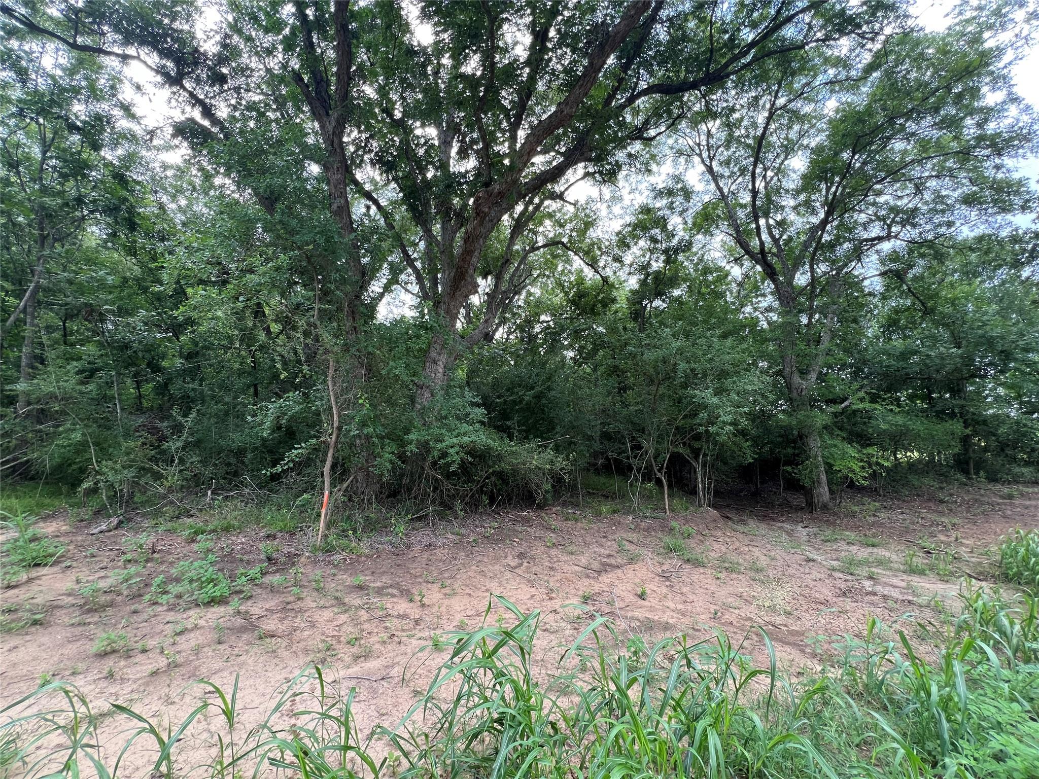 TBD FM 3000 Tract 2