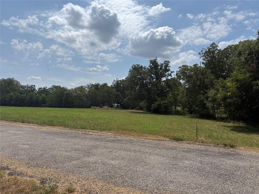 106 NORMA JEAN BLVD, SMITHVILLE, TX 78957 - Image 846878ca25337e320c473e4d1c8a4490/3877859455