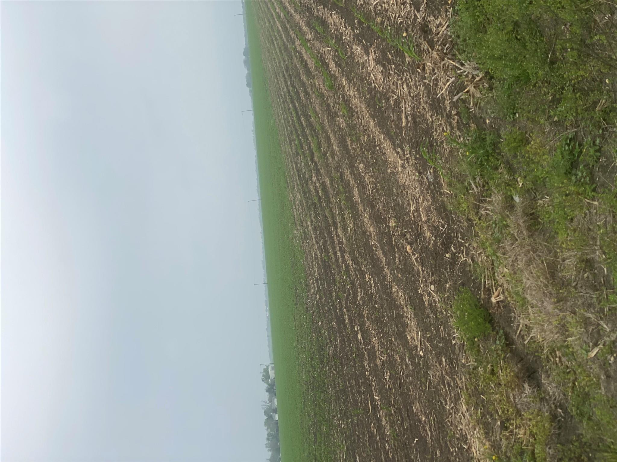3250 Fm 1331 & County Road 415 RD