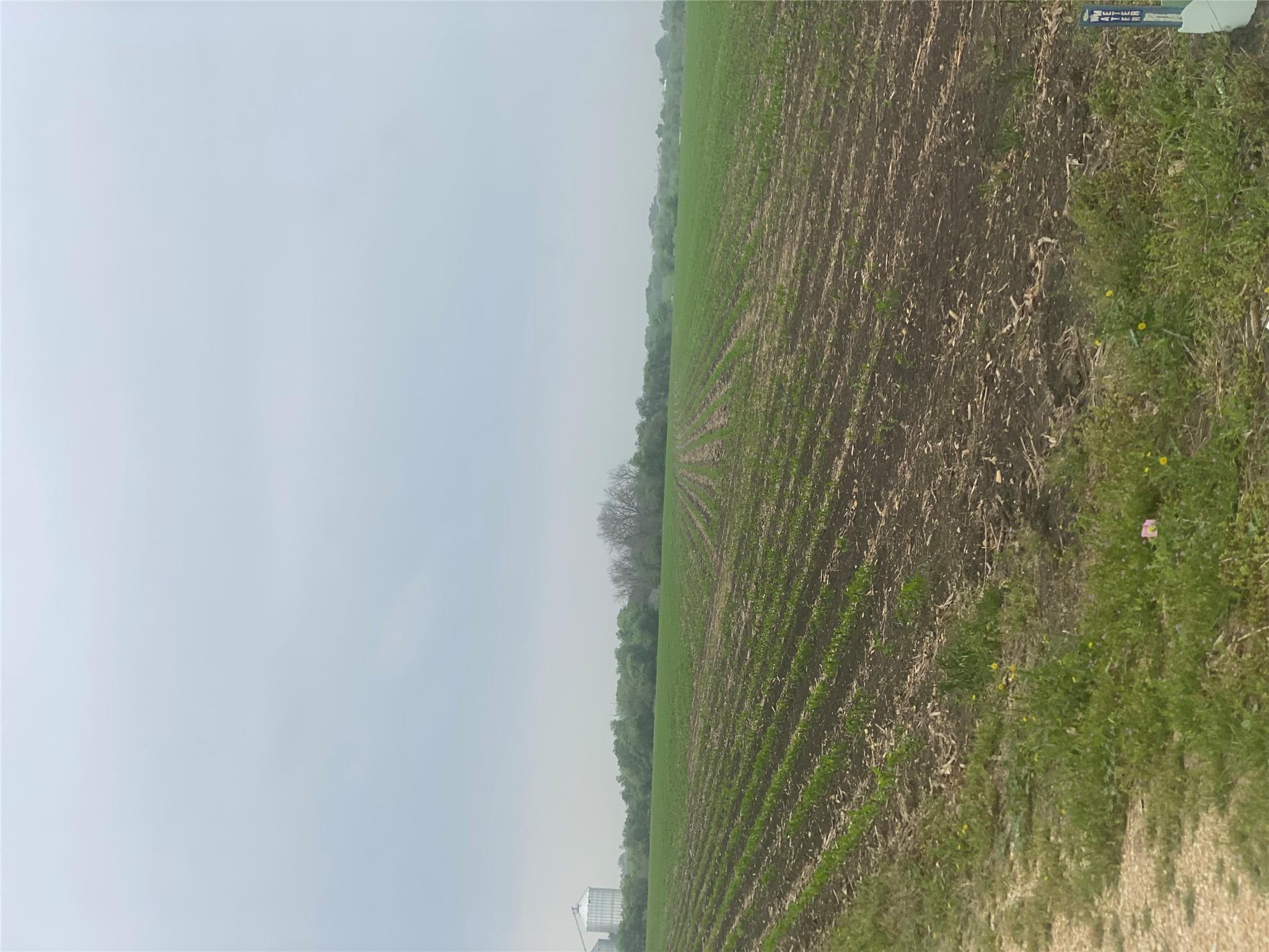 3250 Fm 1331 & County Road 415 RD