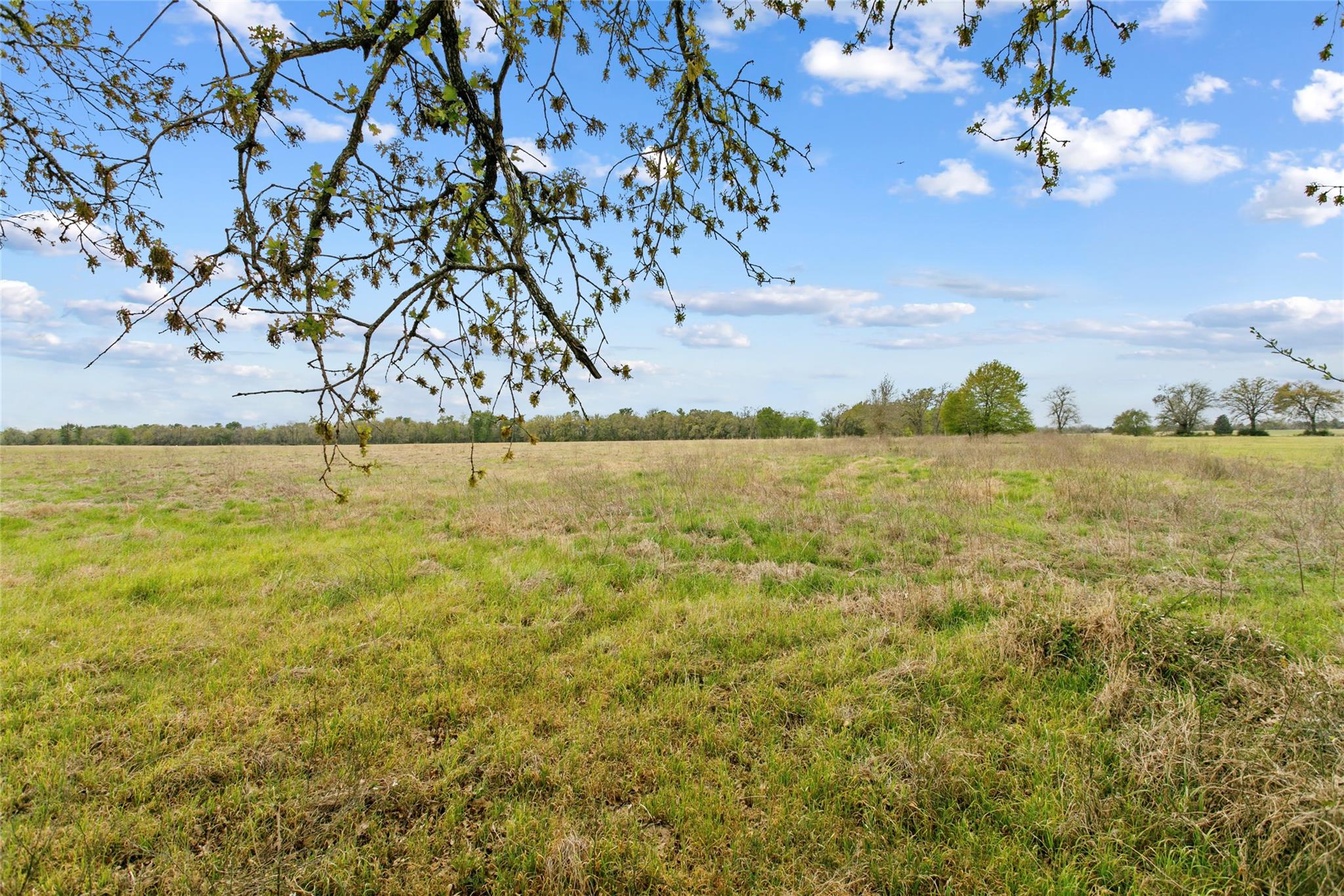 Lot 46 - TBD Creekside LN