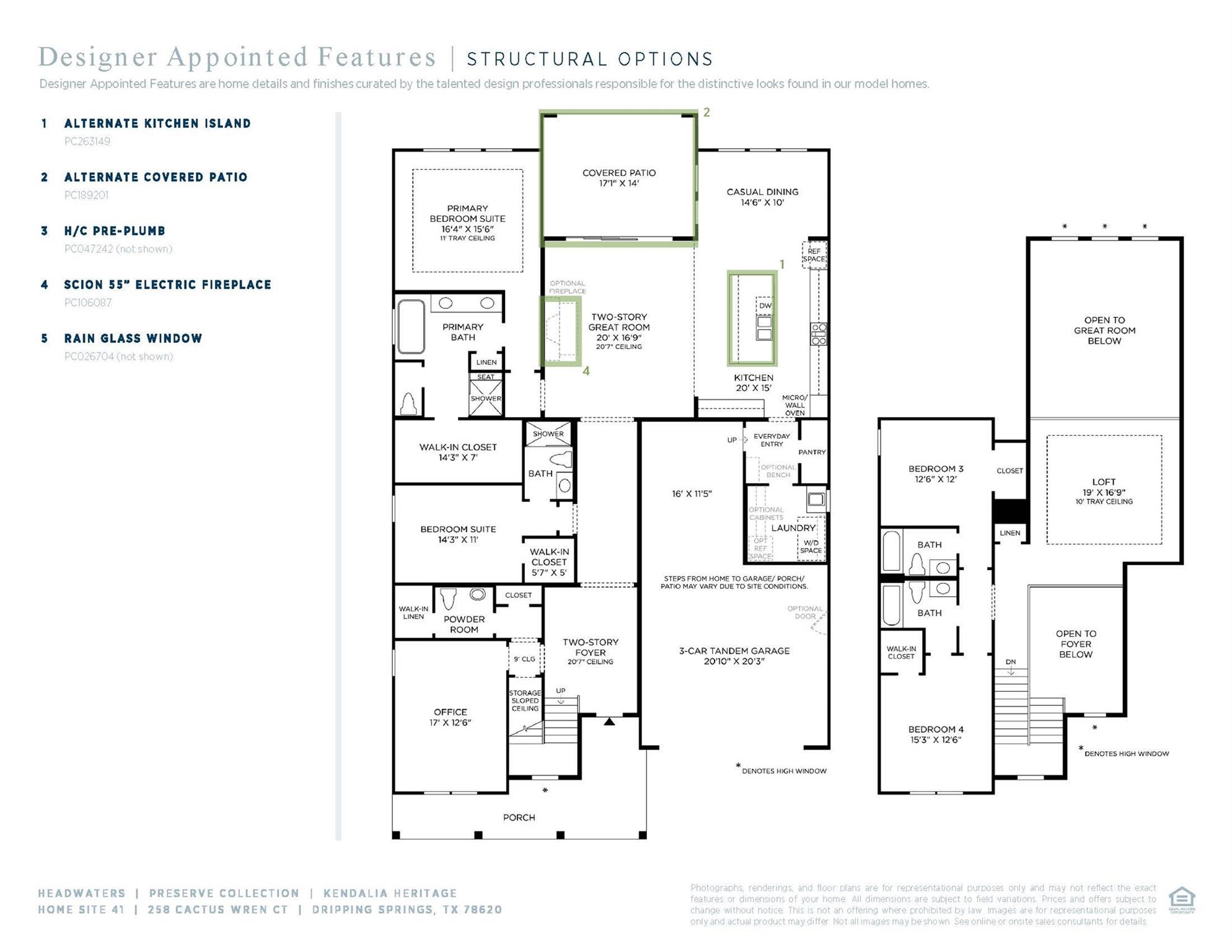 258 Cactus Wren CT