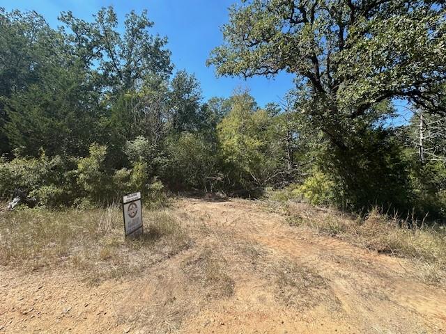 0 Tbd lot 102 and lot 100 Ripple Brook DR