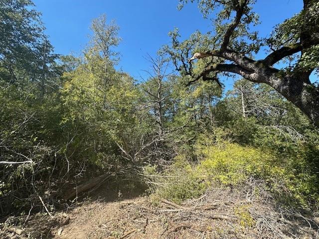 0 Tbd lot 102 and lot 100 Ripple Brook DR