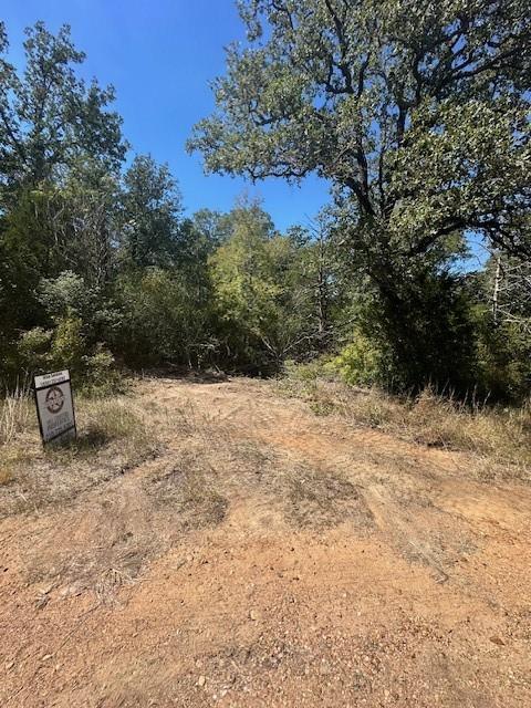 0 Tbd lot 102 and lot 100 Ripple Brook DR