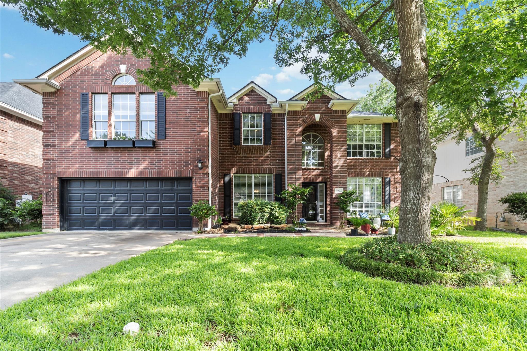 4072 Honey Bear LOOP