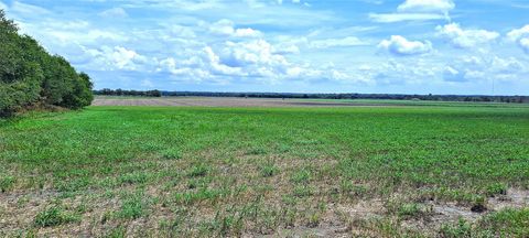 3135 CR 432 RD Thorndale TX 76577