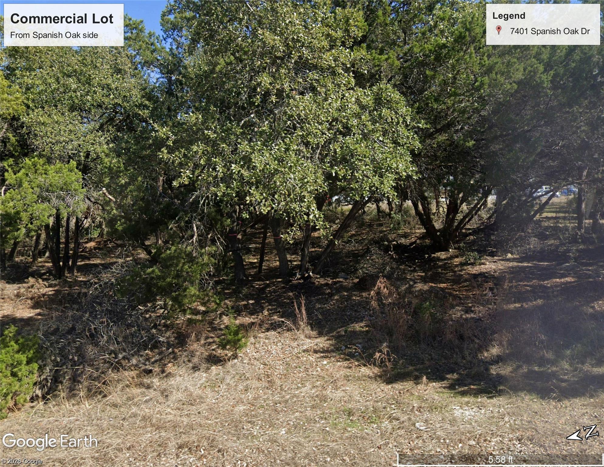 7401 Spanish Oak DR