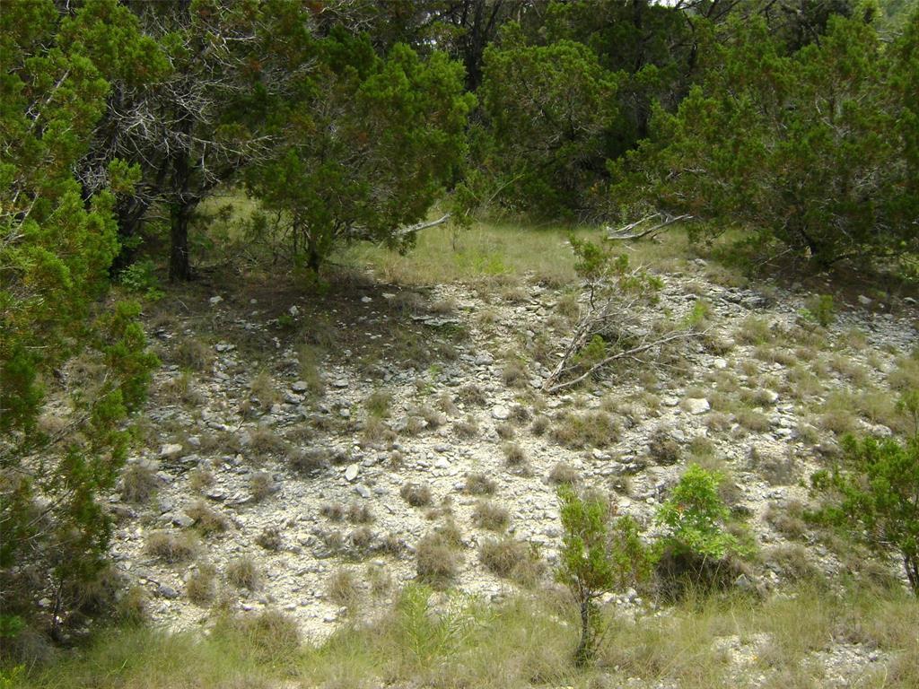 21207 Westward Ho TRL