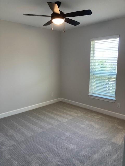 120 Prairie Clover DR