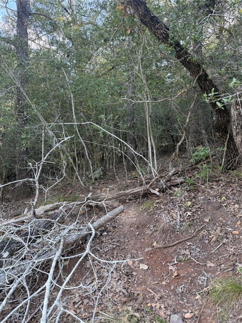 Photo of Lot 376 Palikea CIR, Bastrop, TX 78602 (MLS # 3406308)