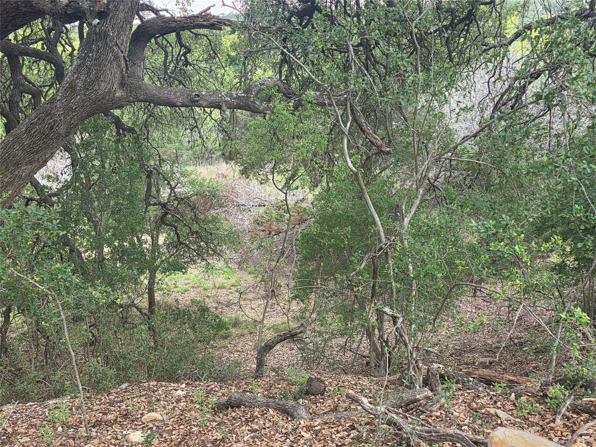 TBD Sycamore Creek DR