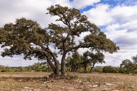 A home in Wimberley