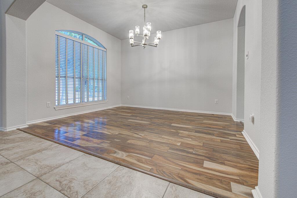 45 Cypress Knee LN 86