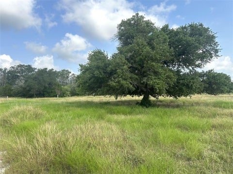 Photo of 8345 Farm To Market 2145, La Grange, TX 78945 (MLS # 4983499)