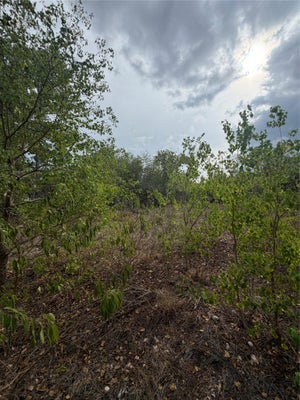 107 WAIALUA CT, BASTROP, TX 78602 - Image 88fc078cc47cd4f1b17d296e6f9c679c/4037359409