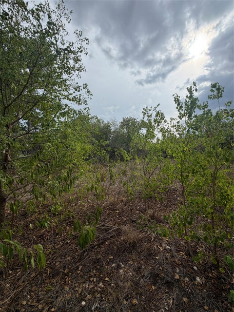 Photo of 107 Waialua CT, Bastrop, TX 78602 (MLS # 4872656)