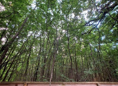 Tiny photo for 5603 Harold CT, Austin, TX 78721 (MLS # 6934021)