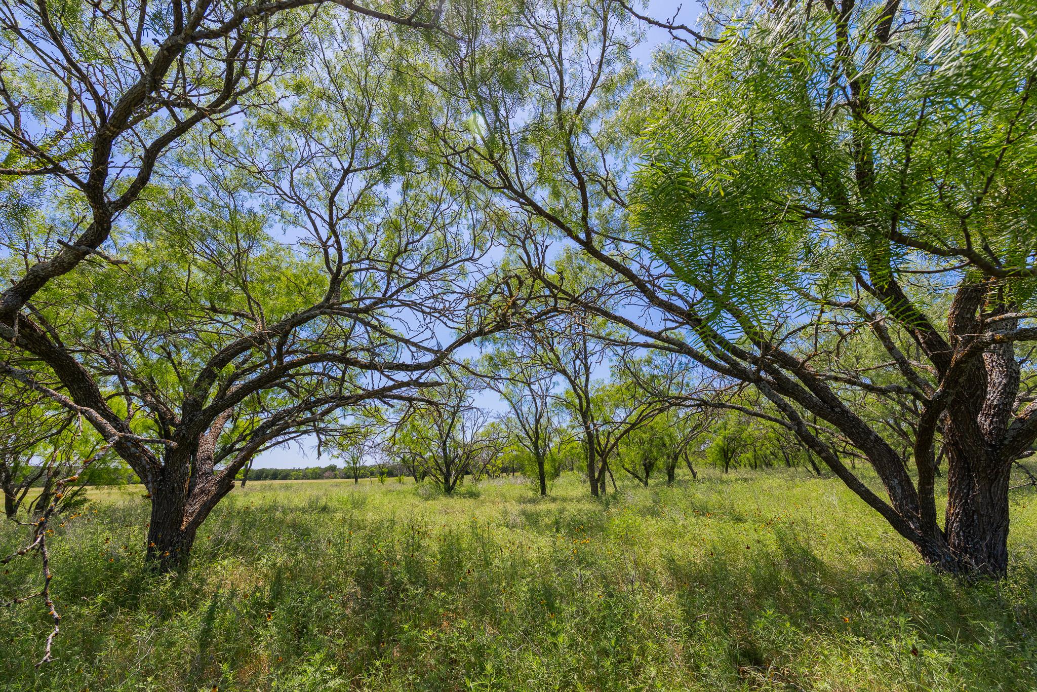 TBD Hidden Pond Ranch County Road 180 RD