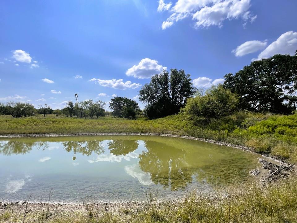 153 Live Oak Mott DR