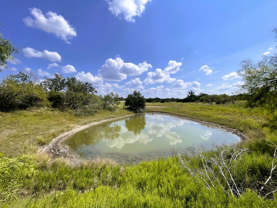 153 Live Oak Mott DR