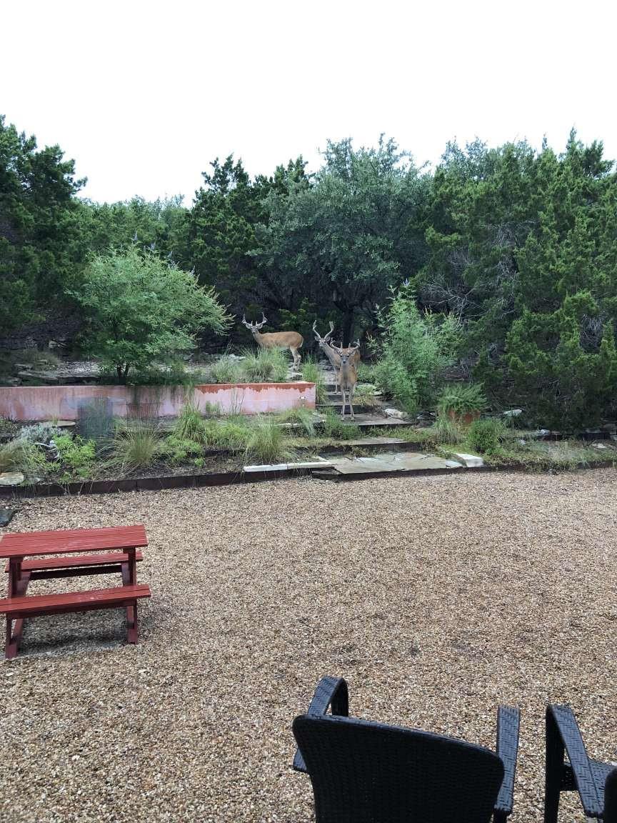 18220 Shepherds Corral