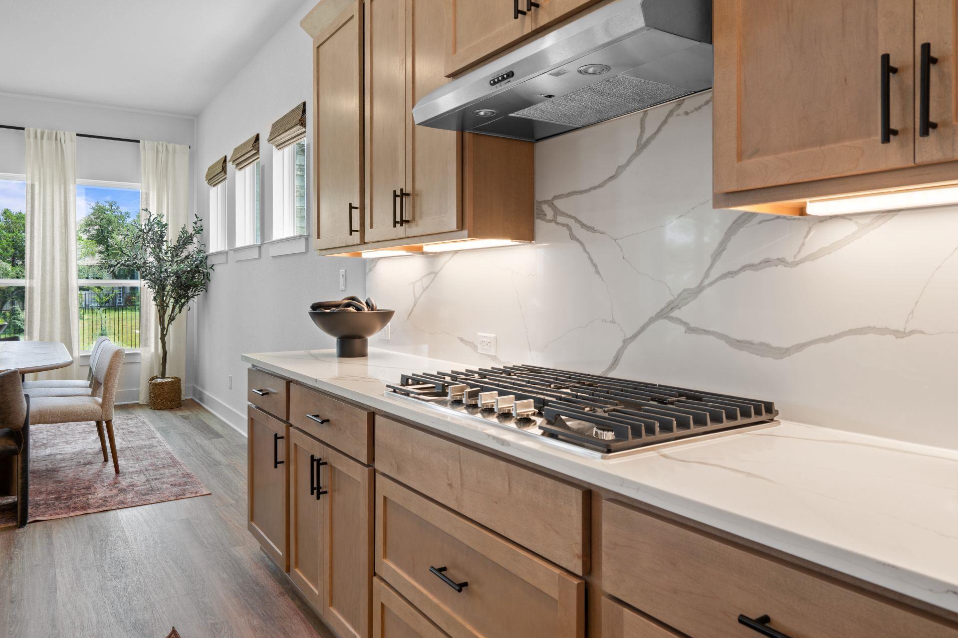 208 Shady Spring TRL