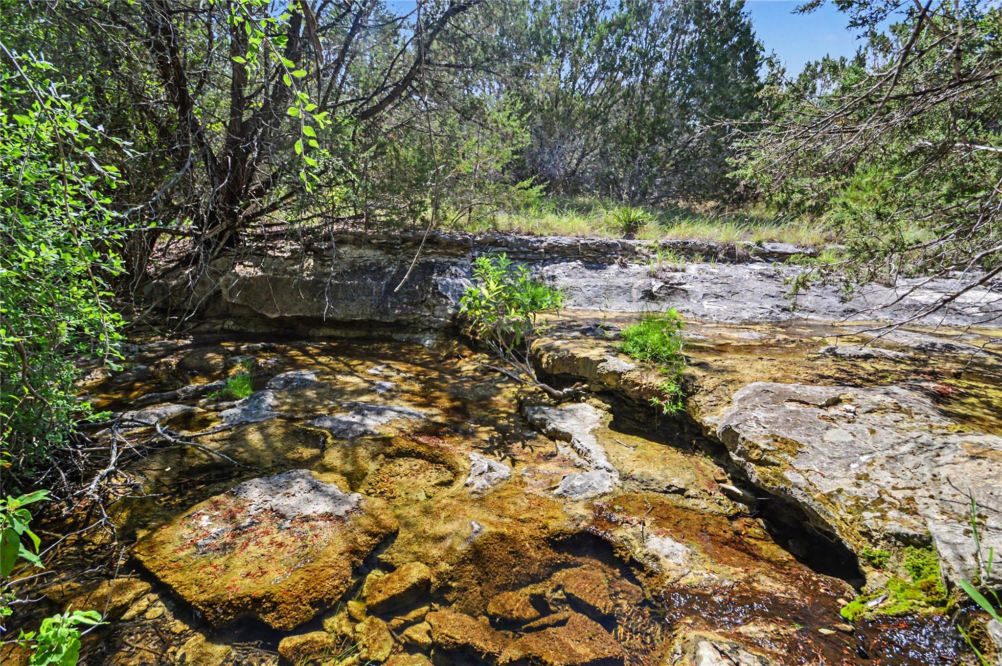 3250 County Road 2207 RD