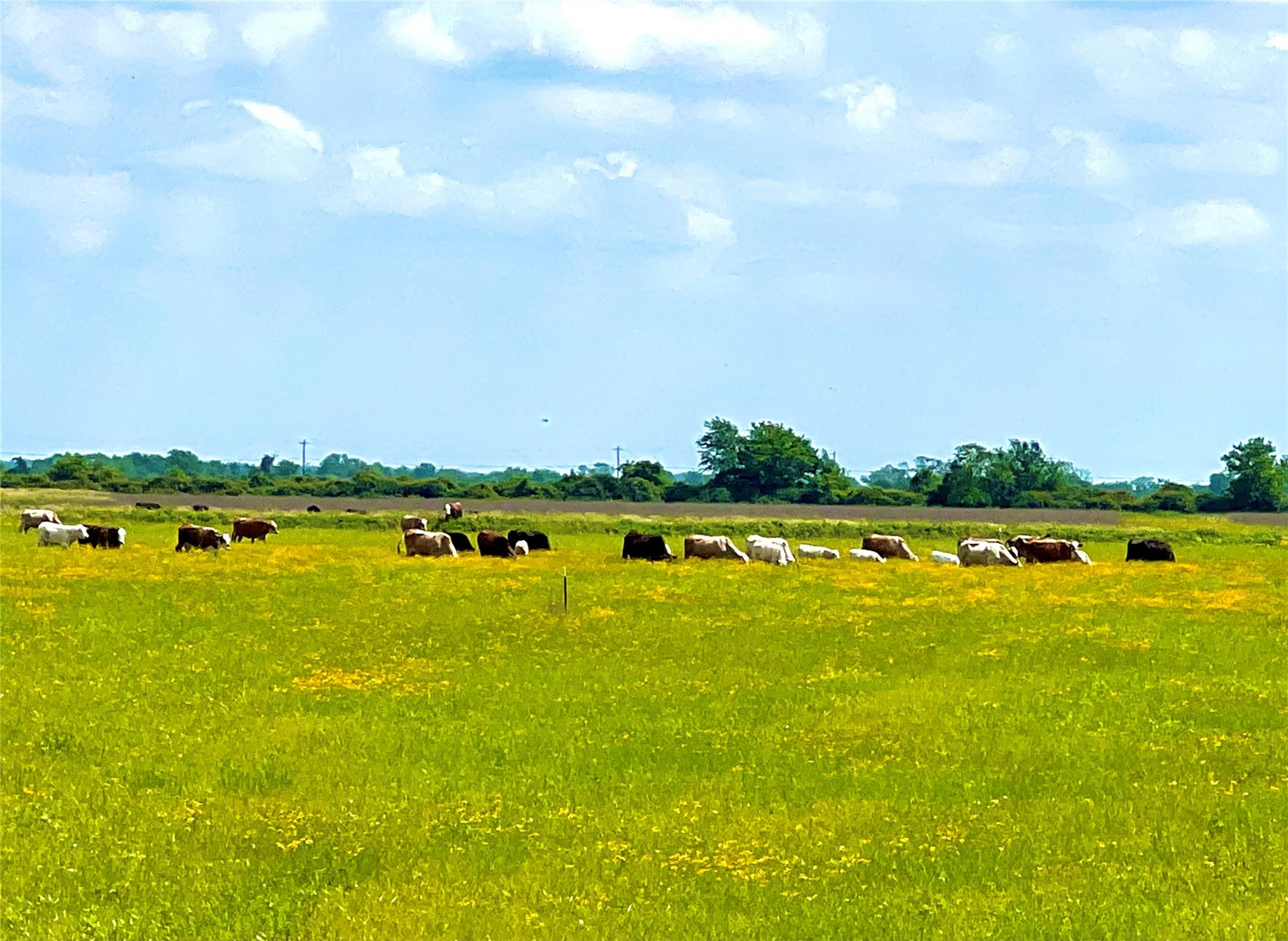 TBD Tract 13 County Road 210