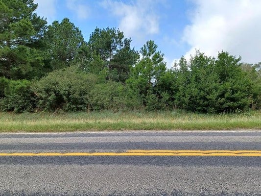 7176 FARM TO MARKET RD 141, DIME BOX, TX 77853 - Image 8a83366eba9678e8b5e9fab3baaeec99/3389832733