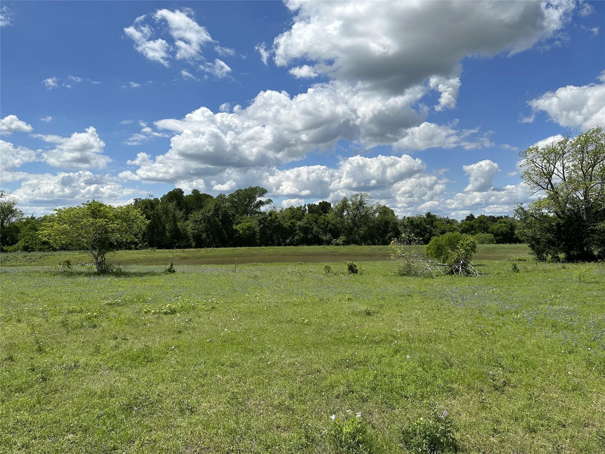 TBD - Lot 4 County Road 222